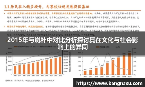 2015年与岚补中对比分析探讨其在文化与社会影响上的异同